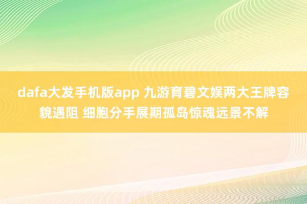 dafa大发手机版app 九游育碧文娱两大王牌容貌遇阻 细胞分手展期孤岛惊魂远景不解