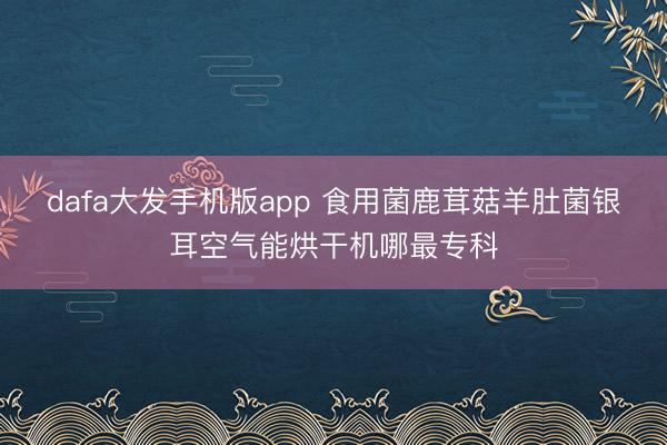 dafa大发手机版app 食用菌鹿茸菇羊肚菌银耳空气能烘干机哪最专科